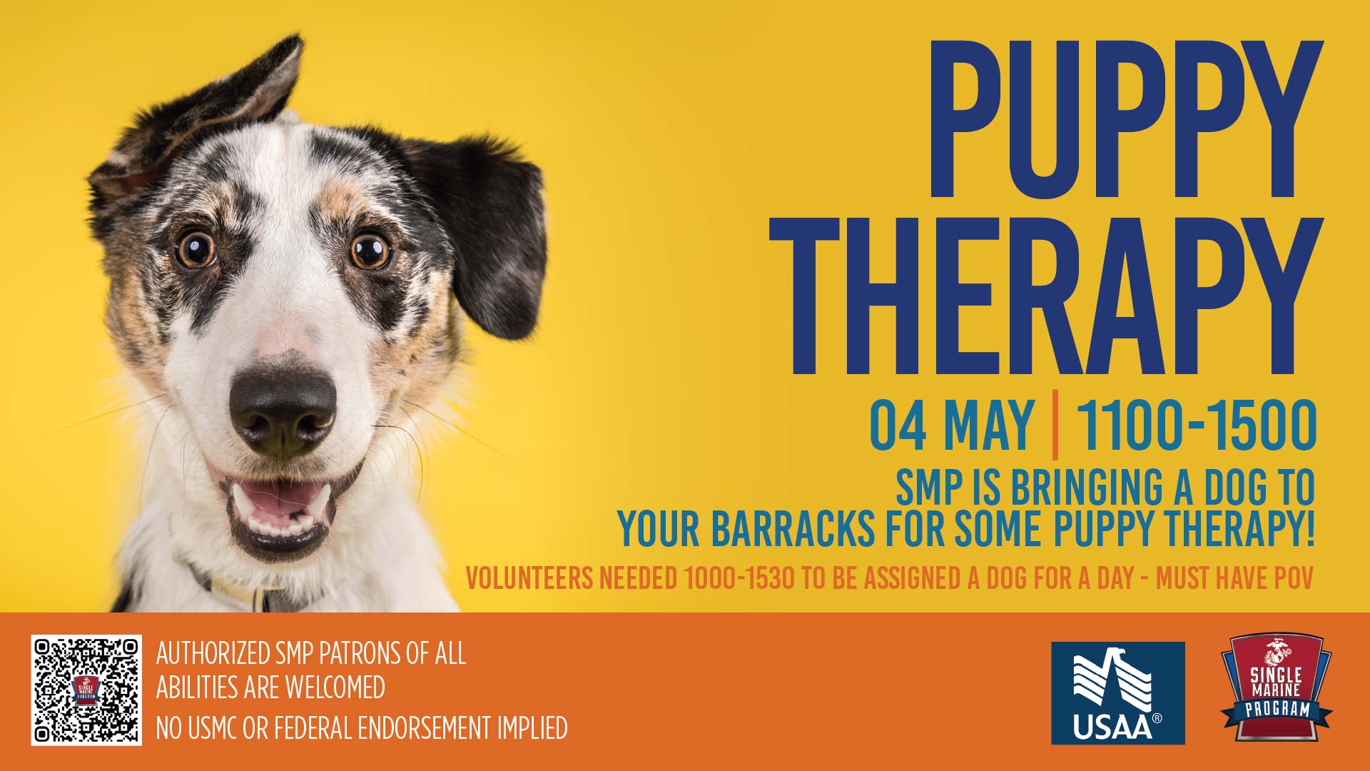 Volunteer - Puppy Therapy