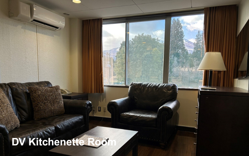 DV Kitchenette Room.png