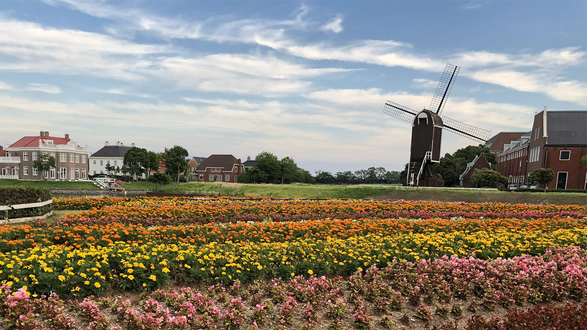 Huis Ten Bosch Tulip Festival & Spring Illumination Trip