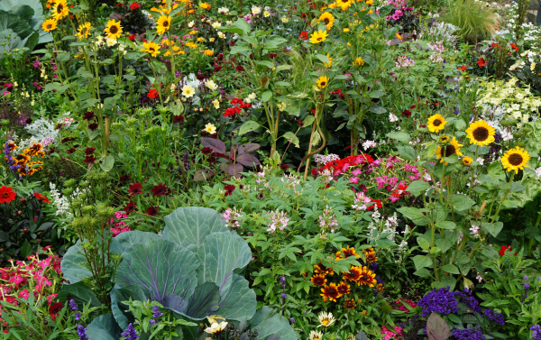 Youth Fitness (Ages 5-6)