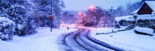 vehicle violation citation